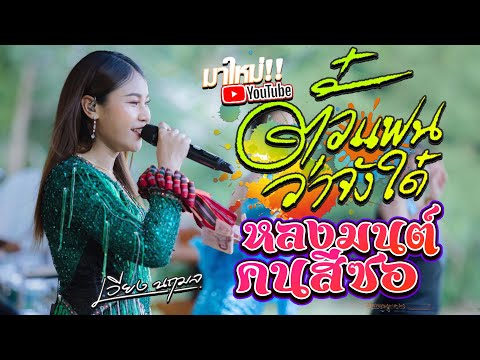 #ตั๋วแฟนว่าจังใด๋ + หลงมนต์คนสีซอ + ดอกจานประหารใจ | COVER VERSION : คอนเสิร์ต เวียง นฤมล