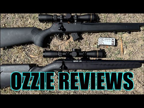 CZ 457 vs Ruger American 22LR (head to head accuracy test)