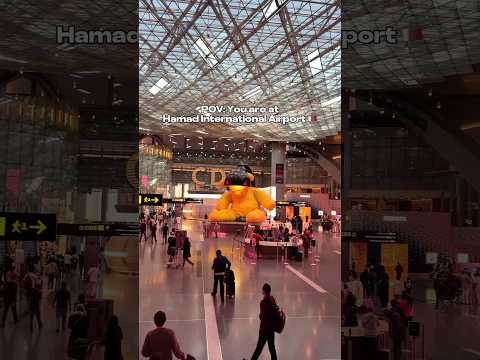 Hamad International Airport Doha Qatar