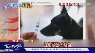 逾6萬人被狗咬 哈爾濱爆狂犬疫苗荒