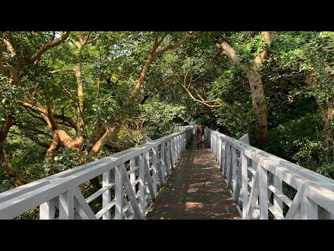 觀音山林梢步道，觀音山遊客中心，豹豹咖啡館