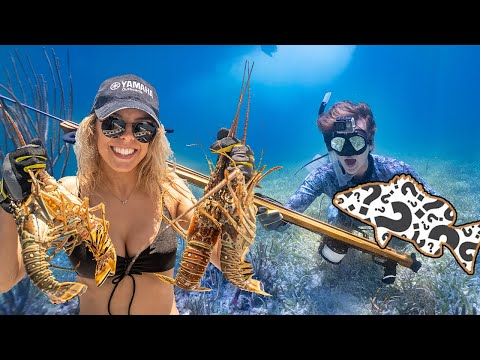 PERSONAL BEST with a NEW GUN! Florida Keys Lobstering and Spearfishing!