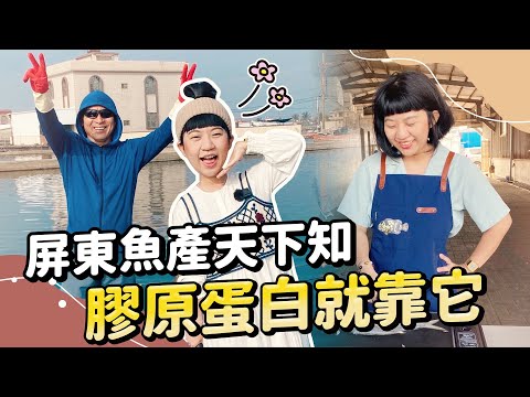 【哩賀 屏東】深訪全台數一數二漁產城市 魚肉跟我一樣緊緻Q彈