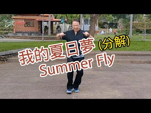 【元宏排舞教室】分解-80 我的夏日夢 排舞 / Summer Fly line dance / (2024公舞)