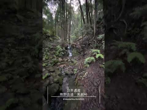 世界遺産熊野古道馬越峠PR動画16　#Shorts