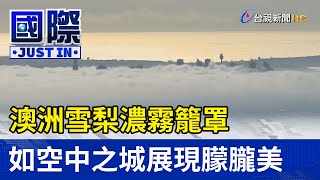 澳洲雪梨濃霧籠罩  如空中之城展現朦朧美【國際快訊】