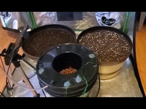 How I Grow! -S1E1- Setup, Germination, and Planting