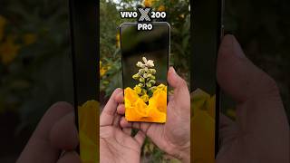 Vivo X200 Pro Camera Test 10x Zooming #vivox200pro #vivox200series #trending #mobile #shorts