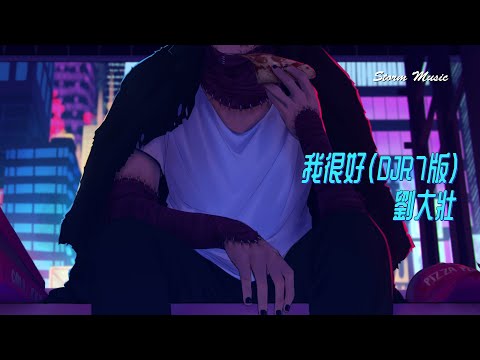 劉大壯 - 我很好 (DJR7版) [我很好 反正一直都是偶爾被需要 我很好 就算再冷我也只相信外套]【動態歌詞Lyrics】