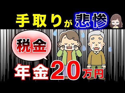 【こんなに引かれる】悲惨すぎる！年金20万円の手取り額！【年金手取り額/社会保険料/住民税/所得税】