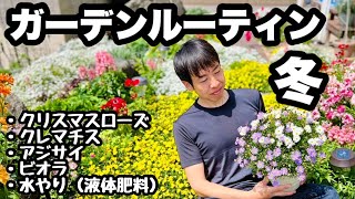 ◆【ガーデンルーティン】クリスマスローズ・紫陽花他冬の重要作業！