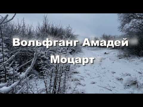 В А  Моцарт   концерт для валторны с оркестром номер 2 ми бемоль мажор