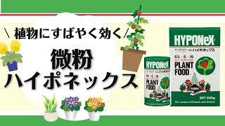 植物にすばやく効く！微粉ハイポネックス