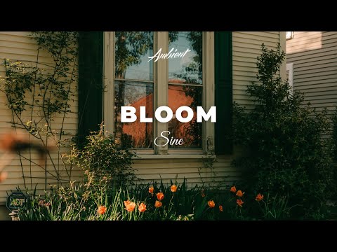 Sine - Bloom [ambient chill beats]