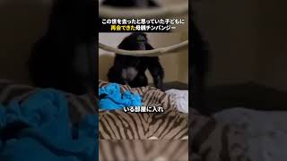 この世を去ったと思っていた子どもに 再会できた母親チンパンジー