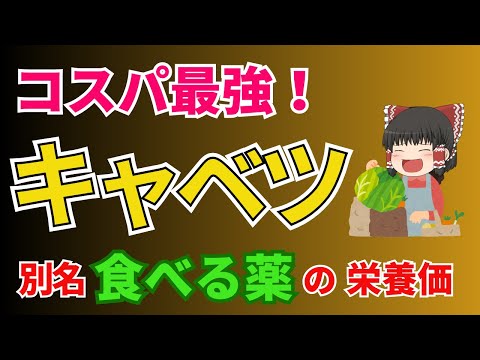 コスパ最強！どんな調理でも行けちゃうお助け食材、キャベツは主婦の強い味方です。そんな万能野菜キャベツの別名は「食べる薬」高すぎる栄養価に驚愕！