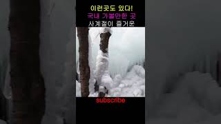 사계절 힐링되는 산림욕장 , 대전 가볼만한곳 상소동 산림욕장 . 대전볼거리 #shorts