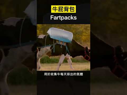 【科技趣闻】牛屁背包 Fartpacks 你见过吗 #Shorts