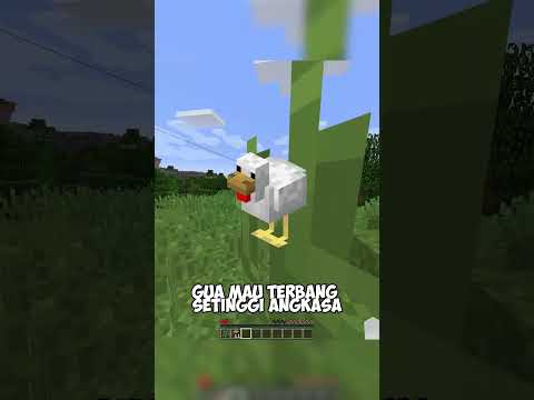 Minecraft, Tapi Aku Jadi AYAM?!