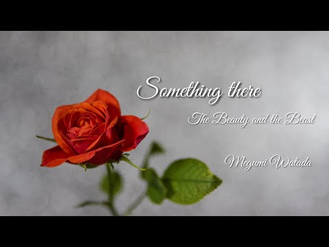 “Something there” 〜Beauty and the Beast〜cover Megumi Watada