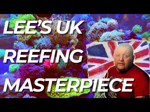 Lee's UK Reefing Masterpiece