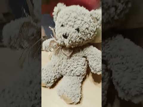 #юмор #youtubeshorts #shortvideo #жиза #вайн #shorts #short #teddy #bear