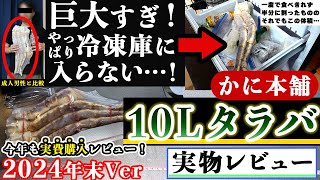 【コスパ最強】かに本舗の10Lサイズ『生タラバガニ』がおすすめすぎた件(2024年)