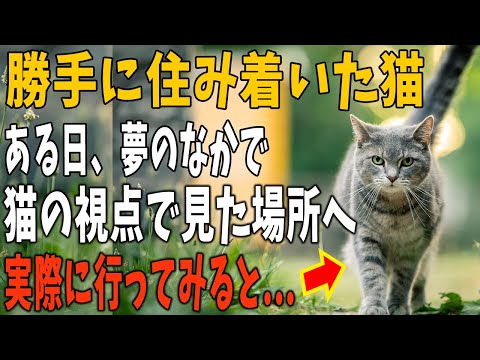 【猫の不思議な話】家に勝手に住み着いた野良猫はたまに数日姿を見せなくなり、また戻って来る。→そんなある夢を見た「これは猫の視点…？」→実際のその場所を探して行ってみると・・・【朗読】