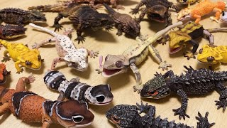 【Gashapon】Opening Japanese Capsule Toy Crested Gecko