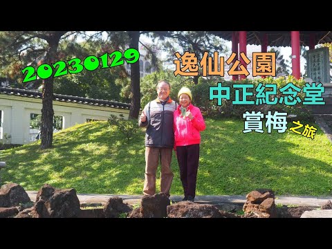 20230129 逸仙公園中正紀念堂賞梅之旅