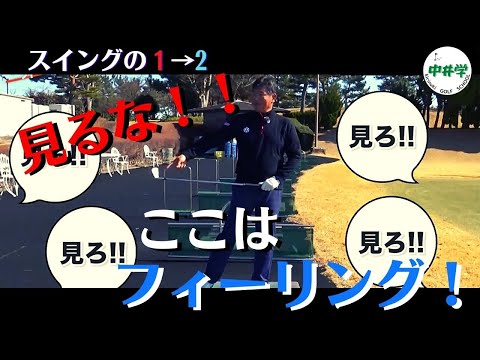 【ゴルフスイング】1→2、やりがちな間違いとは？【中井学の切り抜きゴルフ学校】