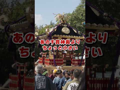 神輿を運ぶ時の色々を聞いてみた【第二十二回大江戸神輿まつりIN木場公園】【七輿親睦会】