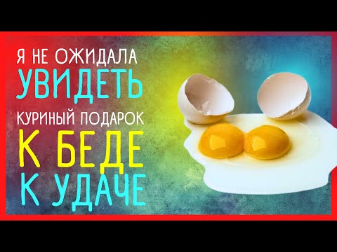 ПРИМЕТЫ. 2 в 1. Два желтка в одном яйце! 🐣 Приметы Советы