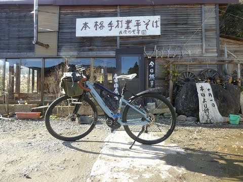 メタセコイヤ並木を超えて　業平そばにグルメサイクリング