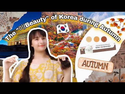 [ENG SUB] Discover the "미/Beauty" of Korea during fall season🇰🇷🇮🇳🍁 #kinfluencer #koreatravel