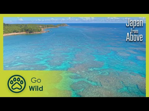 From Islands to Treasures | Japan From Above 5/5 | Go Wild