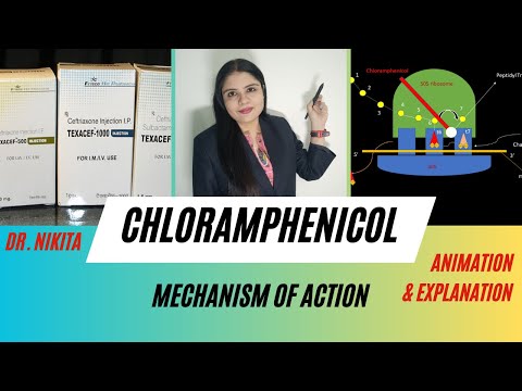 Chloramphenicol Mechanism of Action Animation | Pharmacology| Chloramphenicol Mechanism