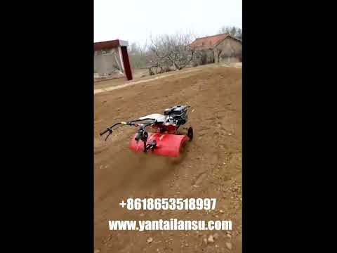 Agricultural Machinery farm Hoe Mini Power tillers rotary cultivator