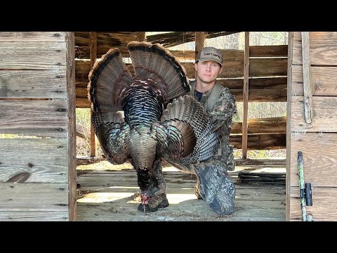 Got Lucky With The LONG BEARD!! (SC Turkey Hunting)