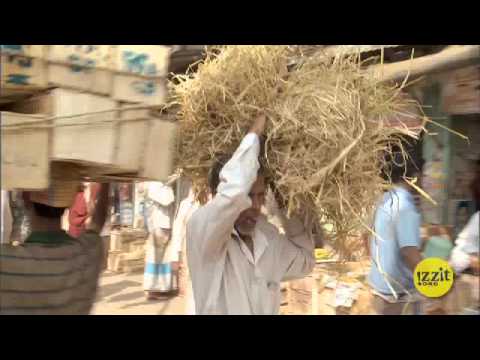 Pennies a Day - Bangladesh