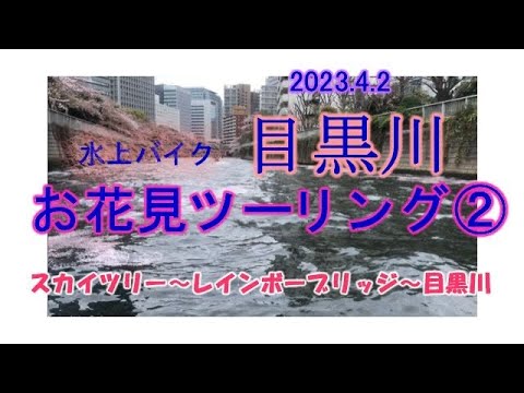 目黒川お花見水上バイクツーリング② スカイツリー付近〜目黒川お花見クルーズ　目黒川桜祭りでゴミ拾い？