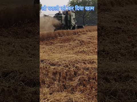 कंबाइन का सही तरीका कटाई का ##trending #automobile #dhan #कटाई #agri #farming #धान #भोजपुरी songs #