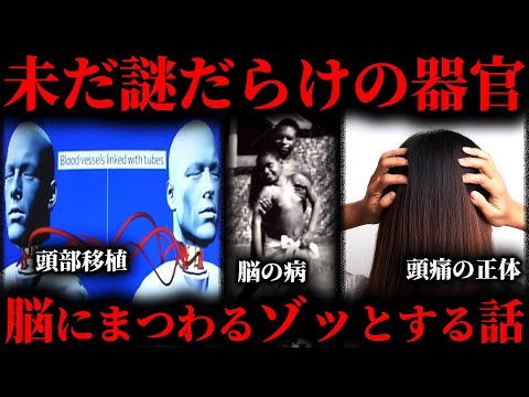 【作業用】脳にまつわるゾッとする話まとめ【たっくー切り抜き】