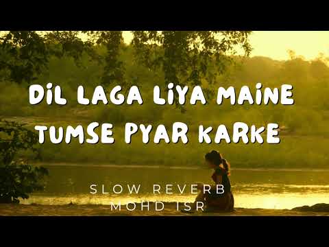 Dil Laga Liya Maine - Dil Hai Tumhaara  by Alka Yagnik, Udit Narayan Song Slow Reverb Mohd ISR