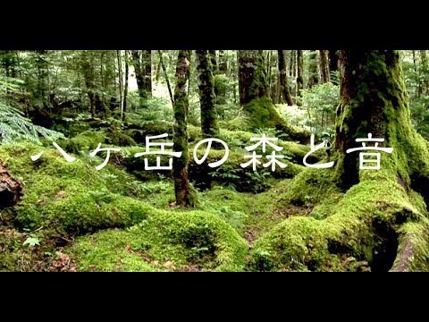 【自然の音と映像】 Relaxing Natural Sounds / 下呂市 小坂の滝 / あかがねとよ / 水の流れ・鳥のさえずり