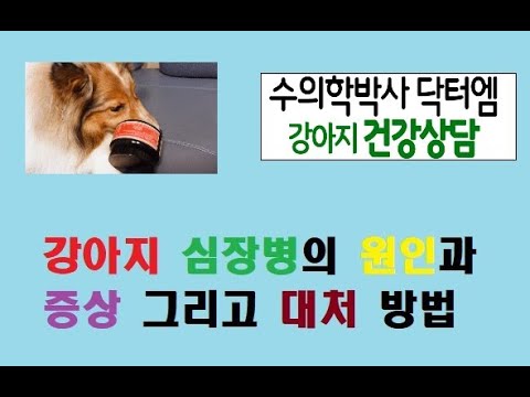 심장병 원인과 증상, 대처 방법은?