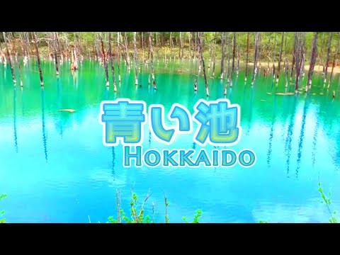 [Beautiful Blue Pond] Hokkaido Japan [Biei Town]  [4K] Superb view of Japan