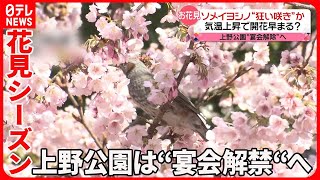 【お花見】気温上昇で開花早まる？　花見シーズン前に伐採進める名所も…