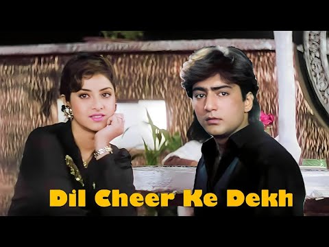 Dil Cheer Ke Dekh Tera Hi Naam Hoga | Divya Bharti | Kumar Sanu | 90's Hits Song