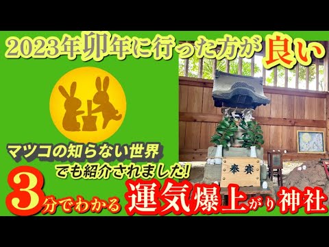 【開運神社】足利伊勢神社 卯年に行くといい神社【マツコの知らない世界】でも紹介された注目話題の神社⛩